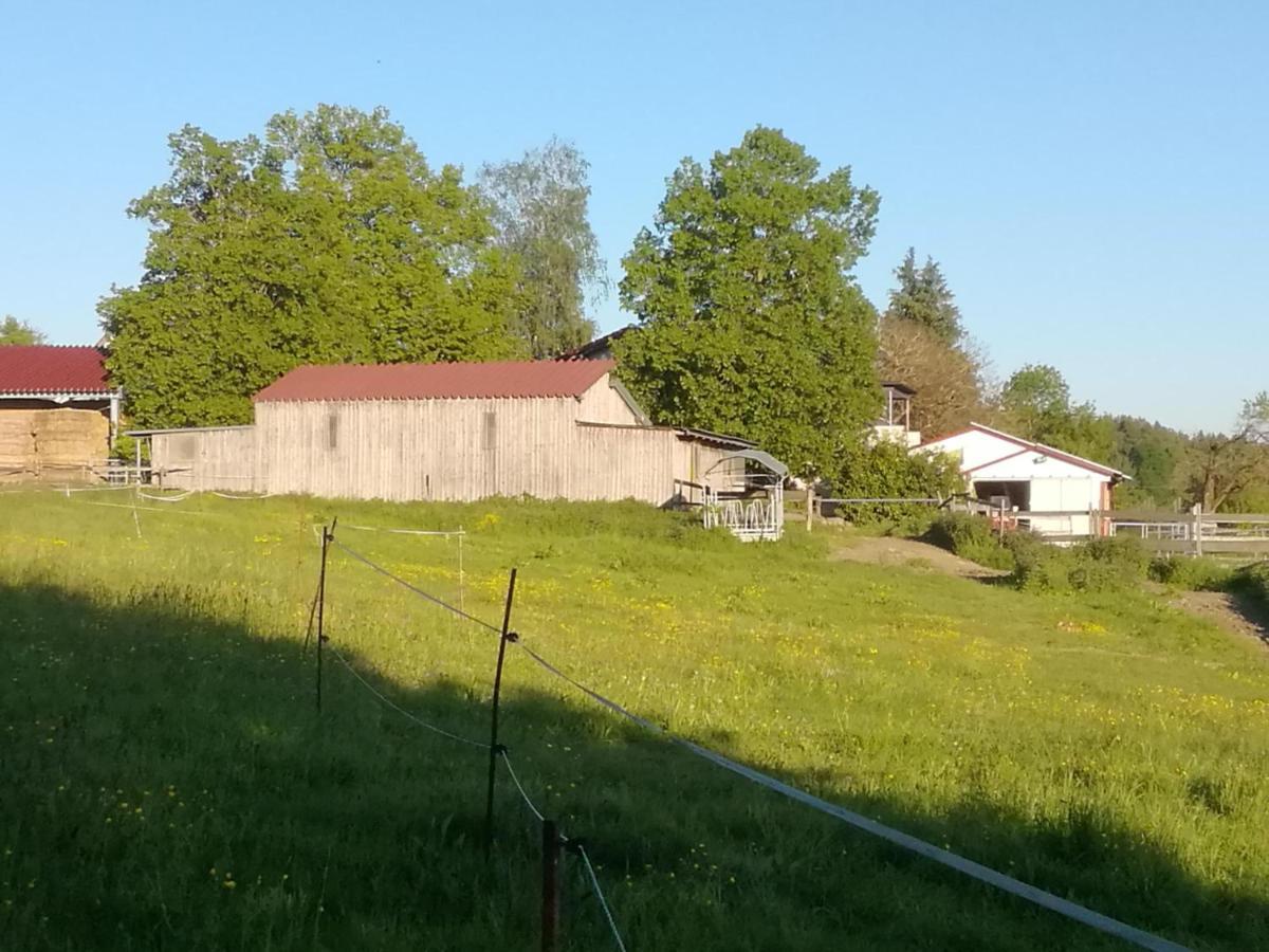Lochdomizil Lägenhet Grunkraut Exteriör bild